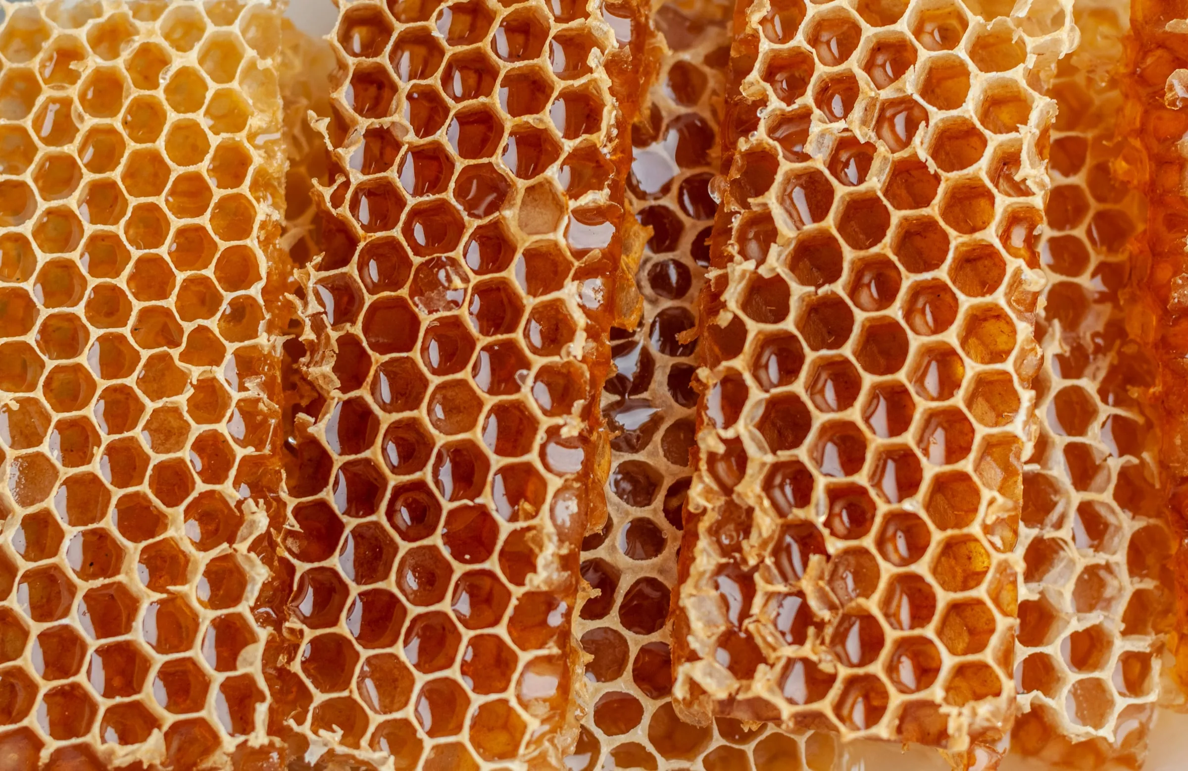 Close-up of golden honeycomb cells